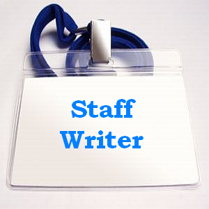 Блок биографий авторов в WordPress