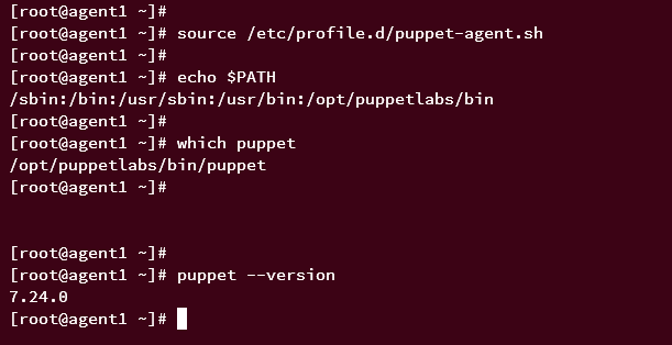 Проверка puppet agent