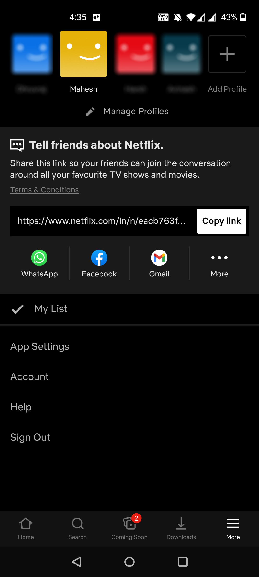 Экран настроек приложения Netflix со списком опций