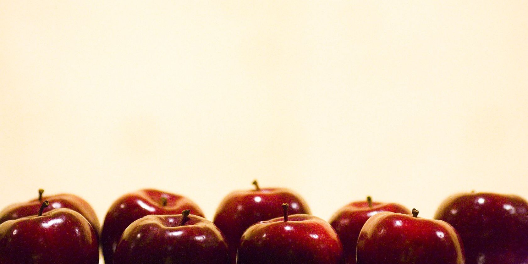 Evernote для учёбы — организуйте лекции и проекты