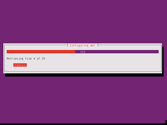 Загрузка пакетов из репозитория Ubuntu