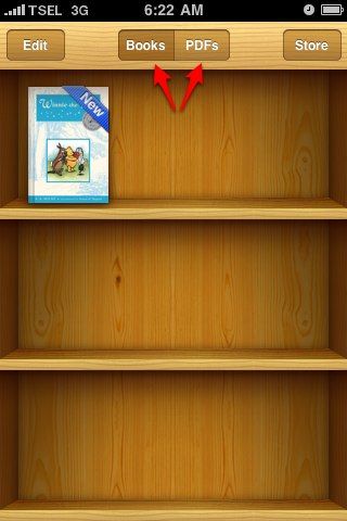 Полки iBooks: ePub и PDF