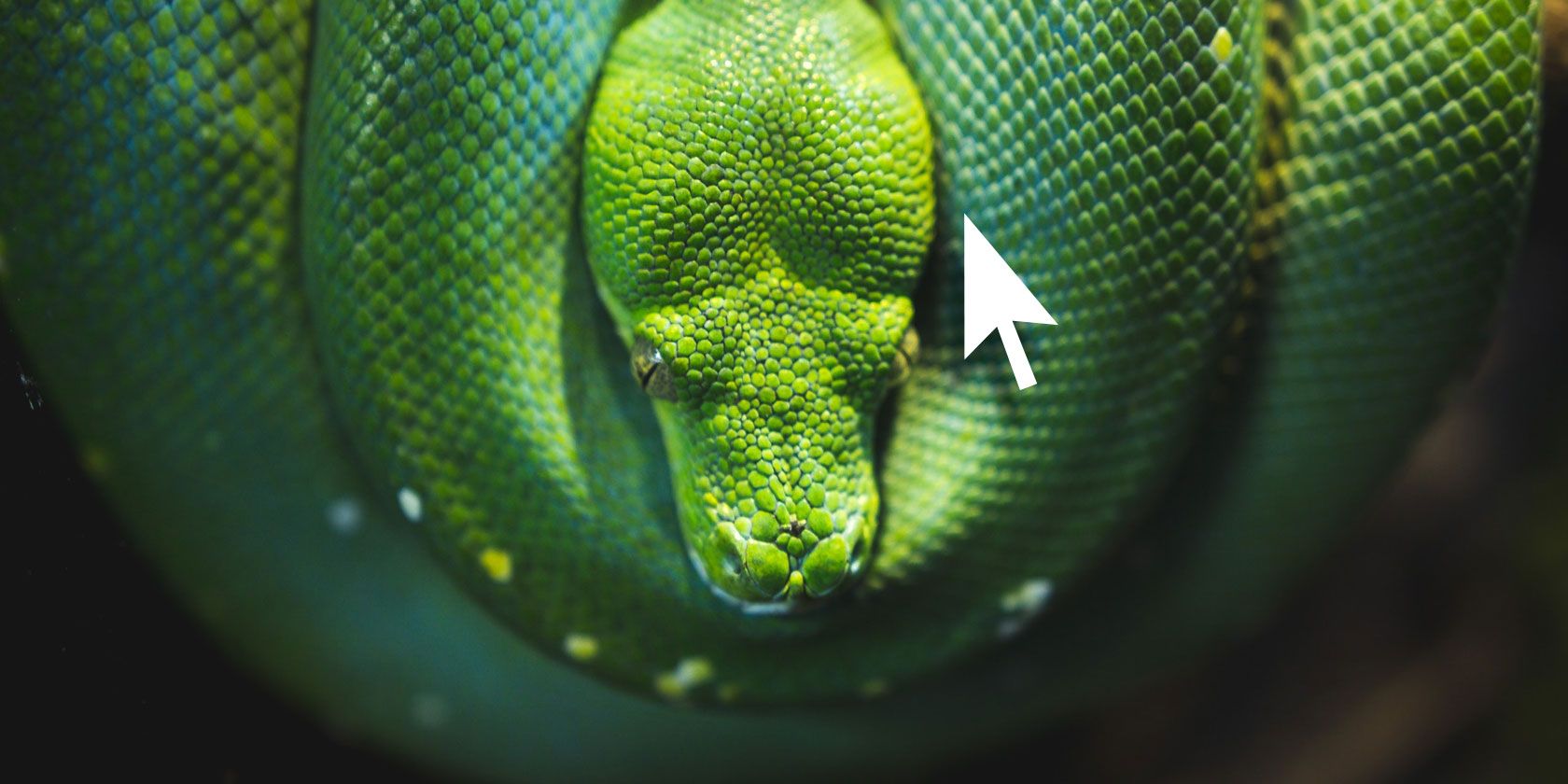 Click: удобные CLI на Python