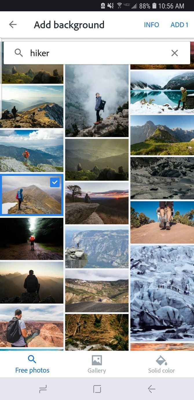 Галерея изображений Adobe Spark Post с поиском по запросу hiker