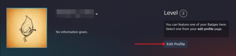 Кнопка «Редактировать профиль» в Steam