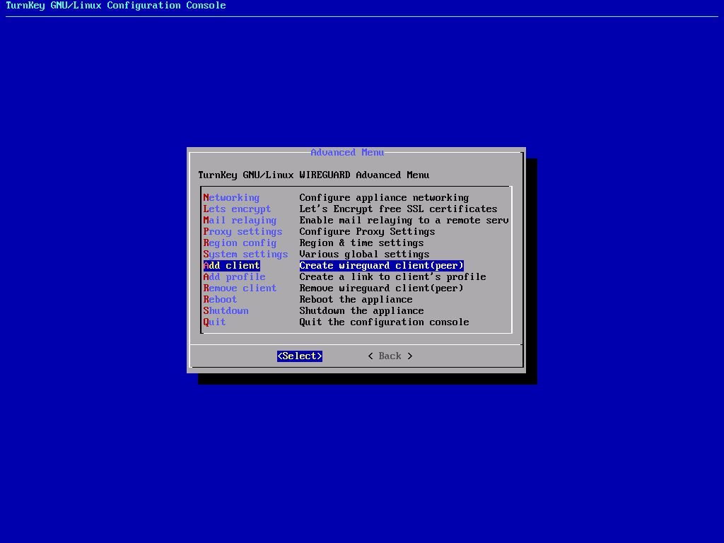 Создание клиента WireGuard в интерфейсе TurnKey