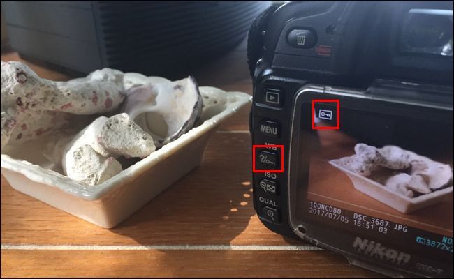 Кнопка protect/защиты изображения на камере: пример расположения на корпусе