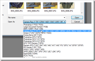 Camera Raw Interface – Dialog