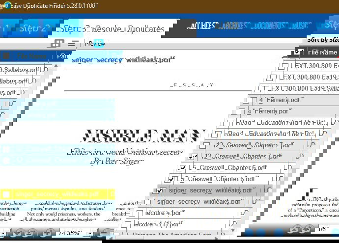 Предпросмотр файлов в Easy Duplicate Finder
