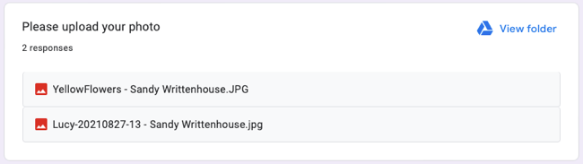Просмотр загруженных файлов на вкладке Ответы
