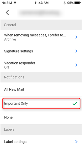 Скриншот: подтверждение Important Only в Gmail на iOS