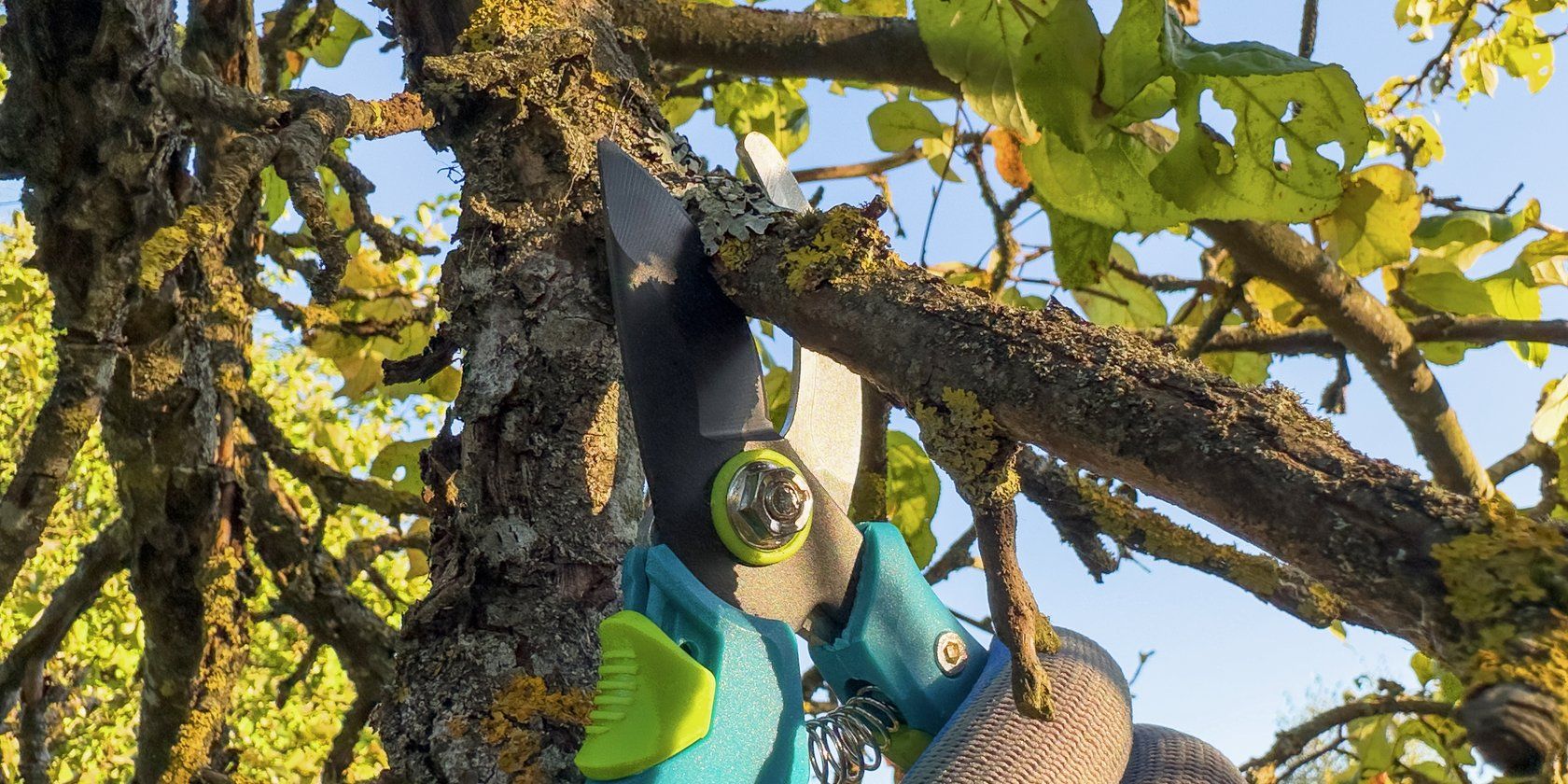 Как удалять ветки Git — руководство