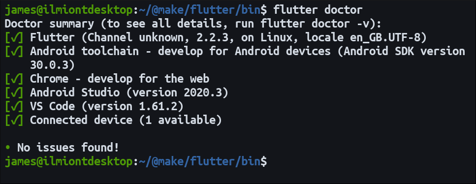 Скриншот команды Flutter Doctor