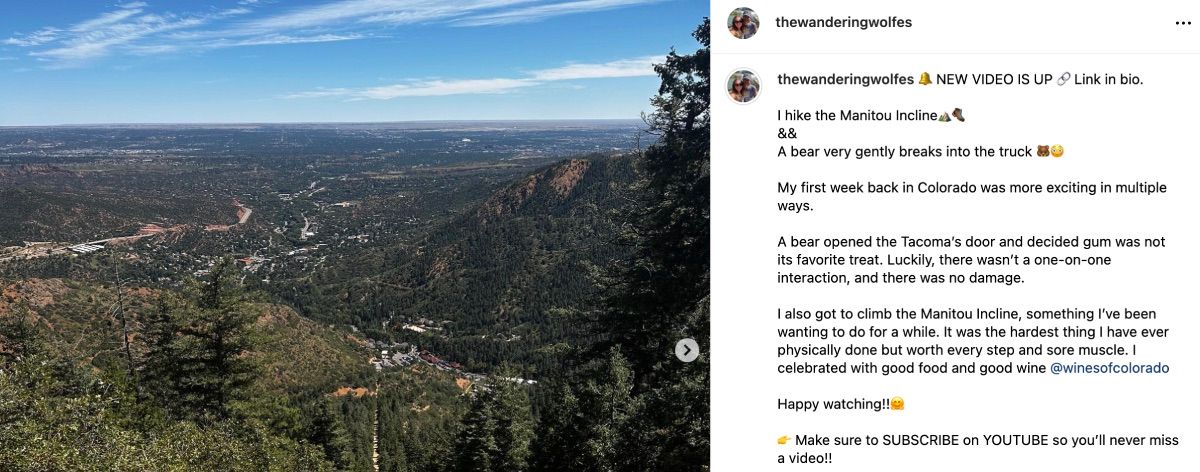 The Wandering Wolfe продвигает видео в Instagram