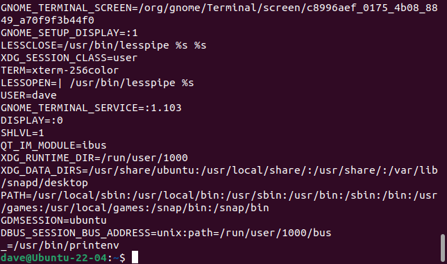 Вывод printenv: стандартный читаемый формат одна переменная на строку