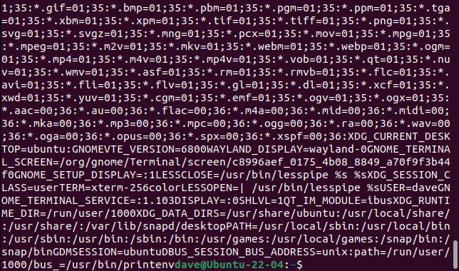 Вывод printenv с опцией -0 делает строку нечитабельной