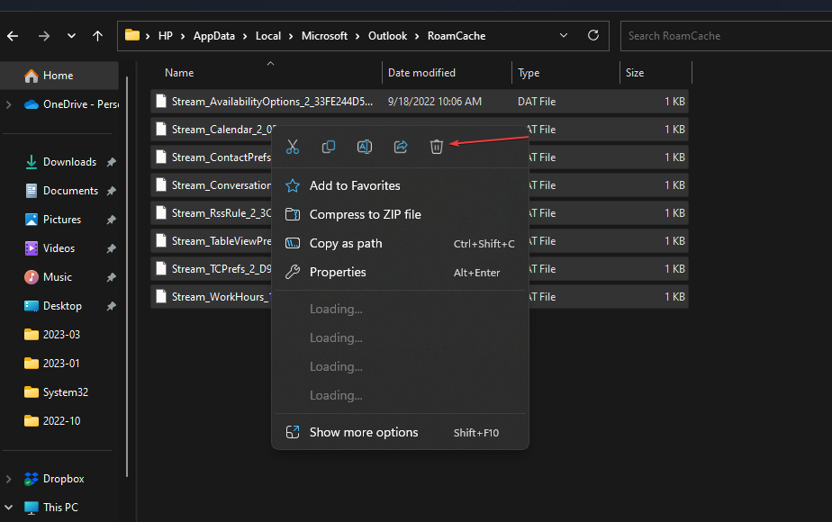 Удаление файлов в папке RoamCache