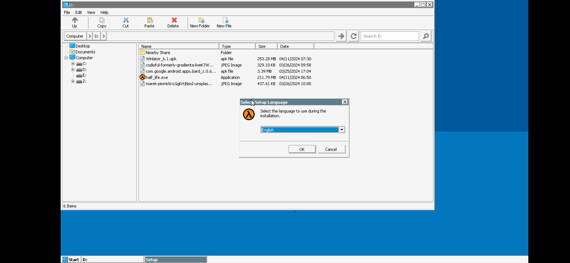 Диск D: в Winlator с открытой установкой Half-Life