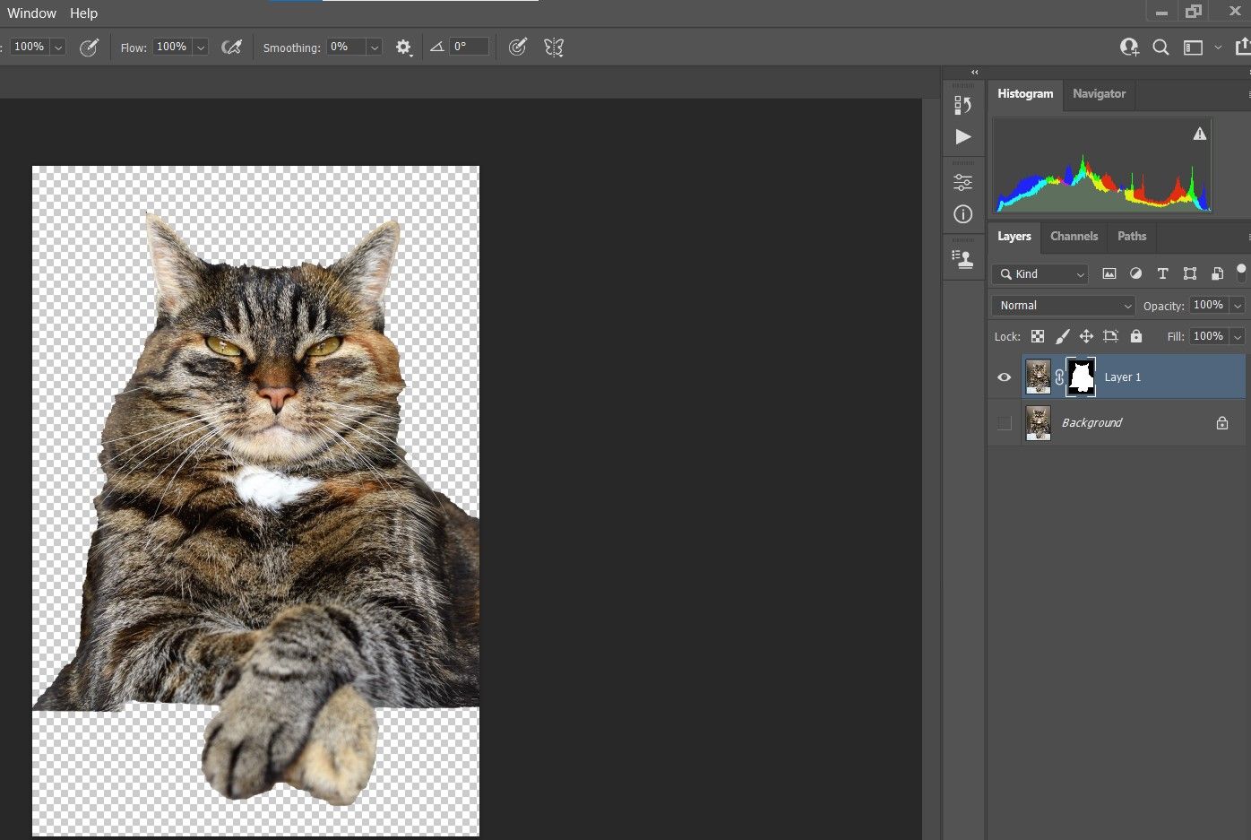 Отключение видимости фонового слоя в панели слоёв