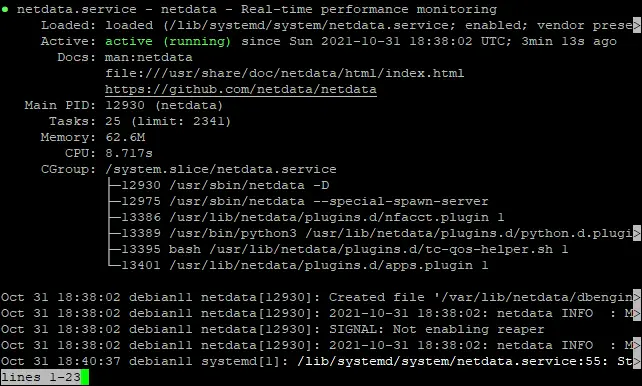 Скриншот статуса Netdata после установки