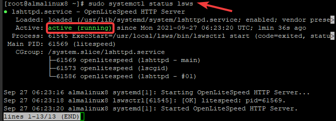 Экран состояния установки OpenLiteSpeed