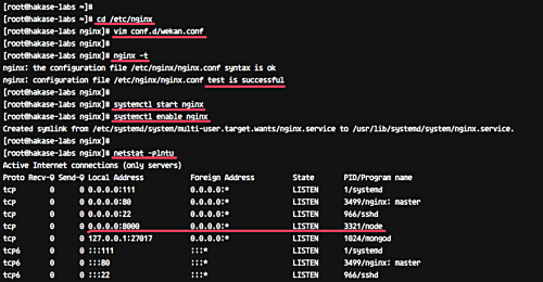 Nginx обратный прокси