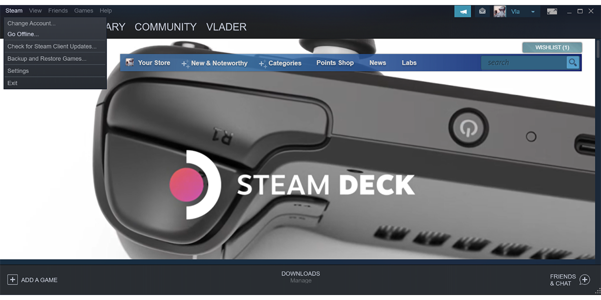 Настройки Steam с меню входа в автономный режим