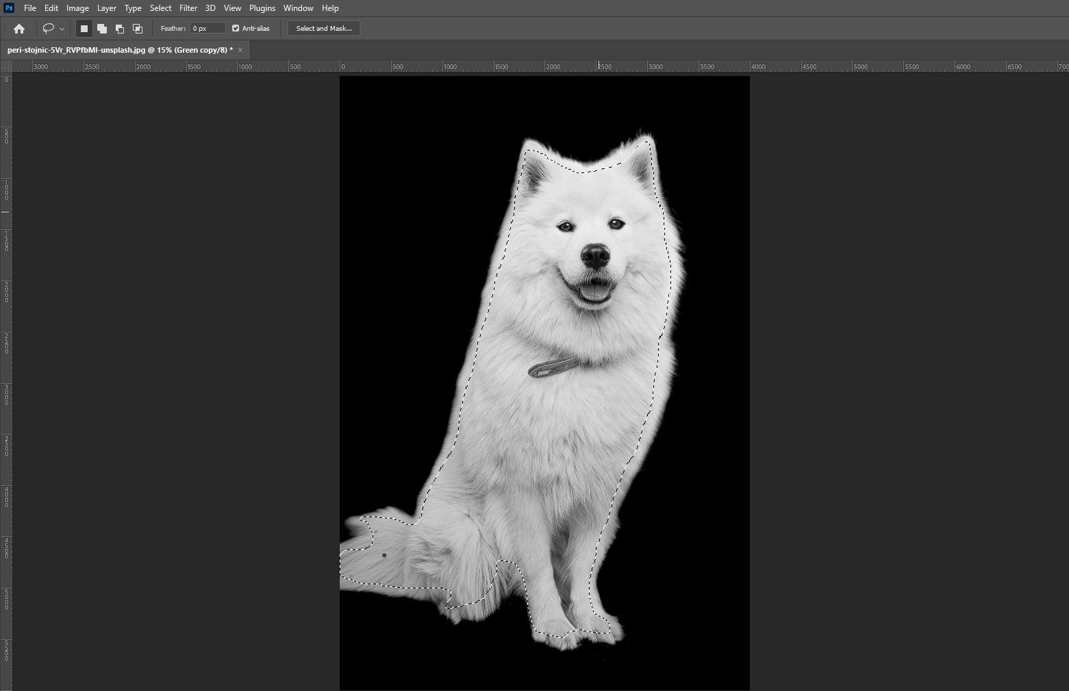 Шаг 11: обводка внутри собаки