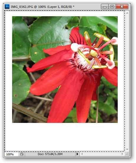 Кадрирование изображения по границам нижнего слоя