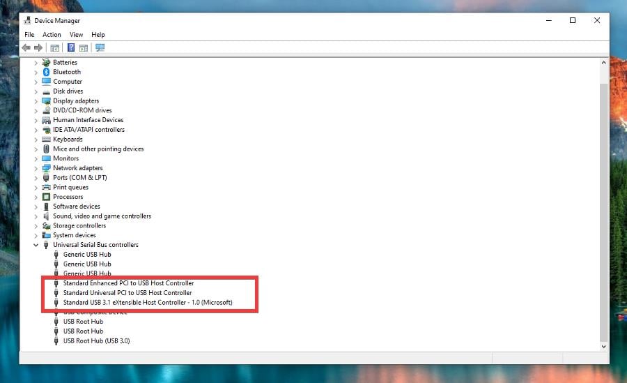 Список USB контроллеров в диспетчере устройств