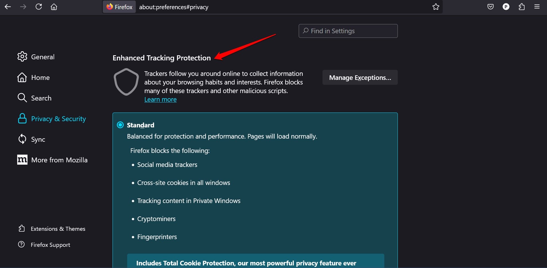 Scelta di Protezione avanzata antitracciamento in Firefox