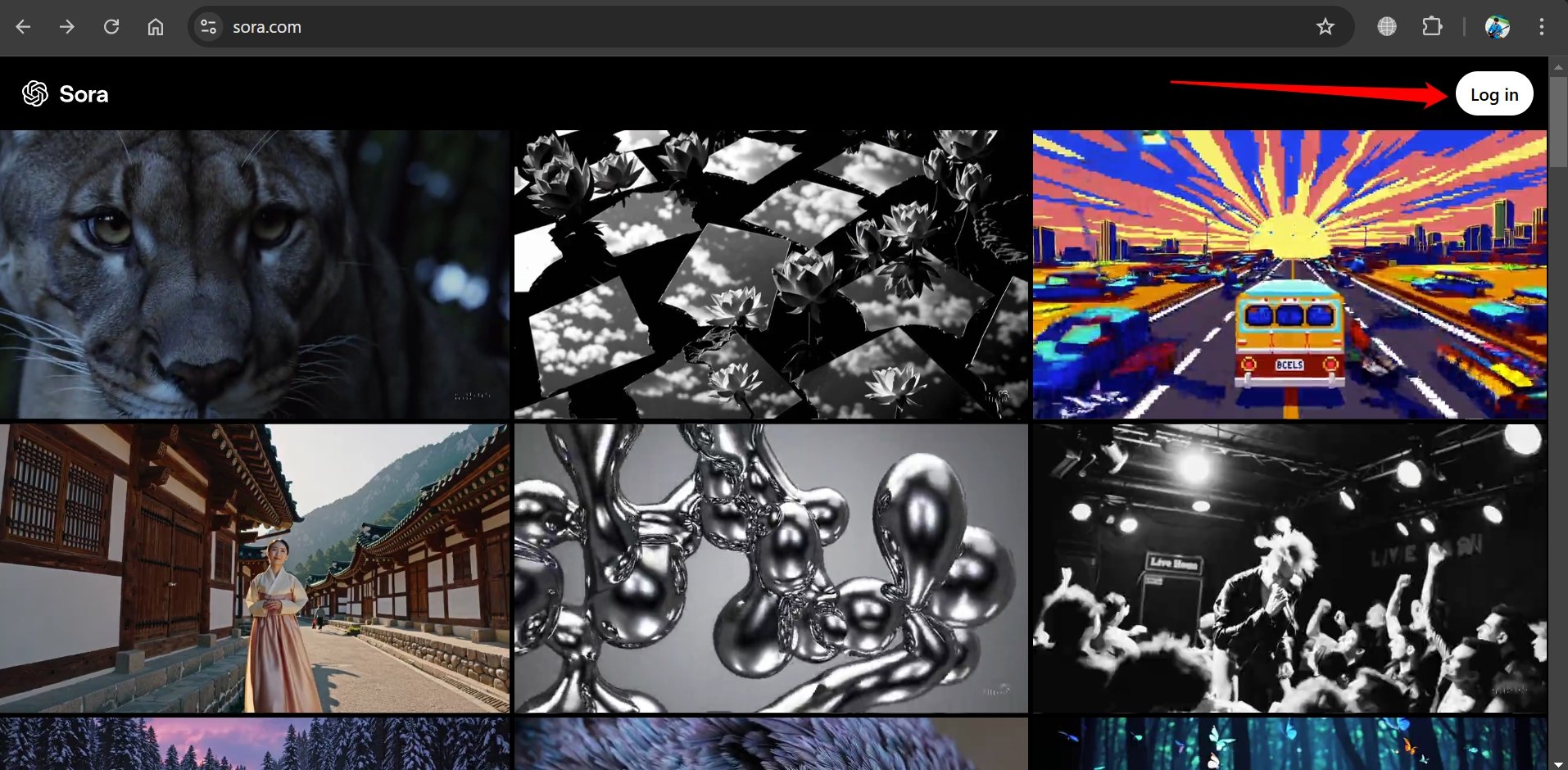 Sora 로그인 버튼 위치