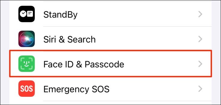 Пункт Face ID и код-пароль в настройках iPhone.