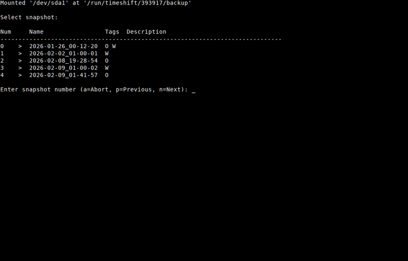 Запуск Timeshift в консоли TTY