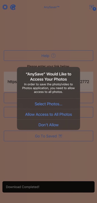 Предоставление доступа AnySave к фото