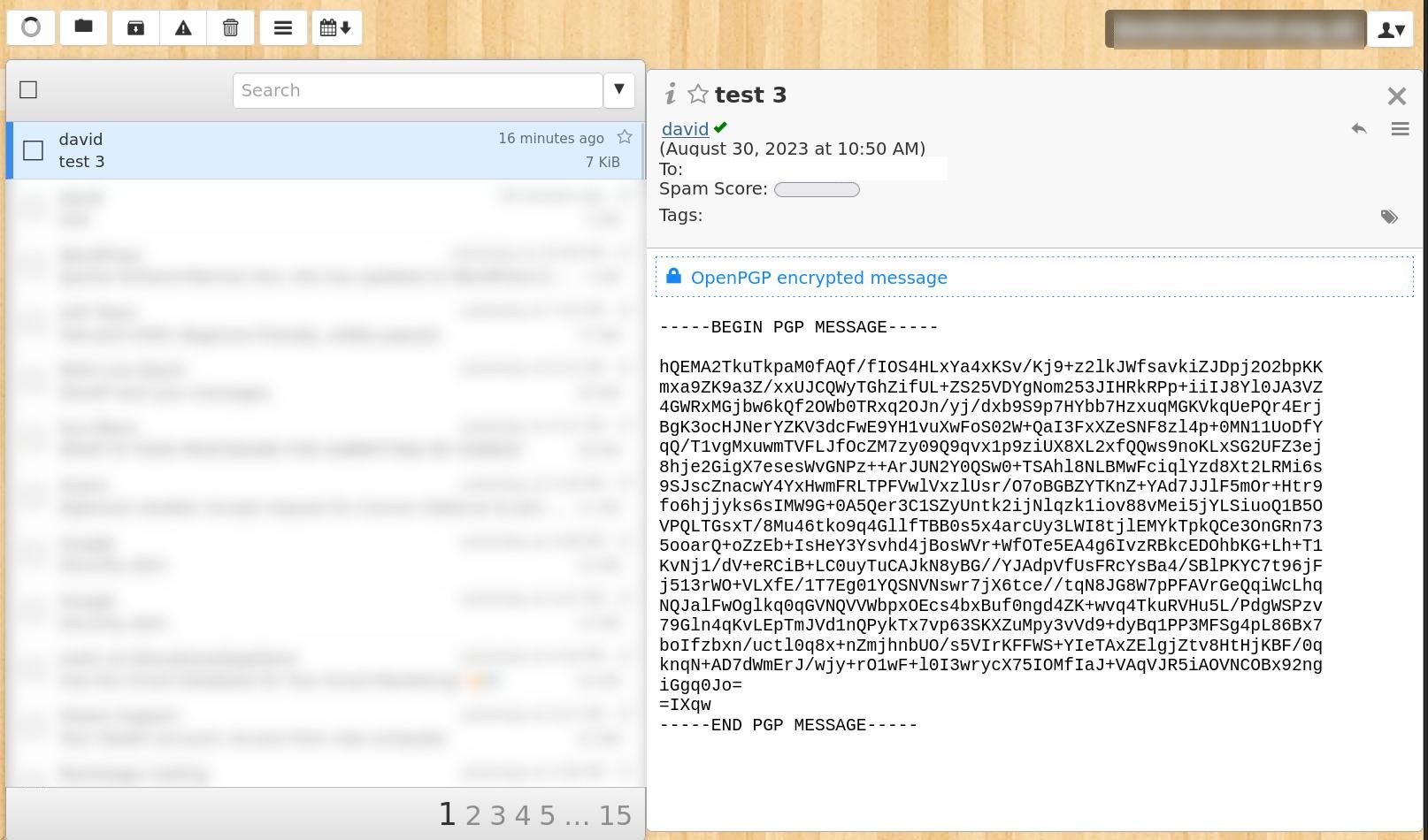 зашифрованное письмо отображается как нечитаемые данные в веб-интерфейсе