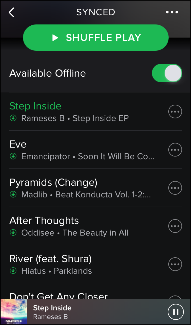 Список синхронизируемых локальных треков в плейлисте