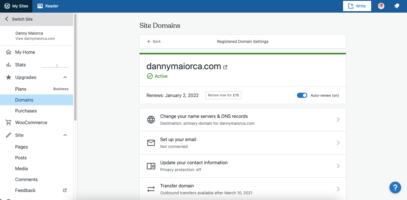 Раздел добавления DNS-записей в WordPress