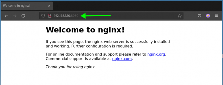 Проверка Nginx внутри контейнера