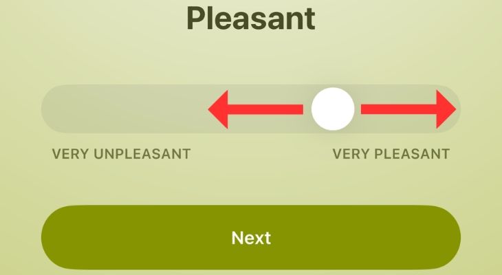 Слайдер для выбора интенсивности эмоции.
