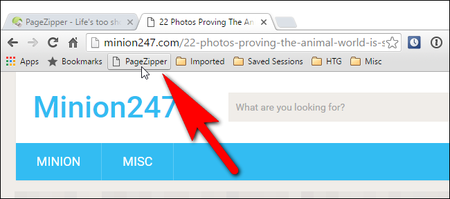 Нажмите кнопку PageZipper на панели закладок чтобы активировать инструмент на сайте