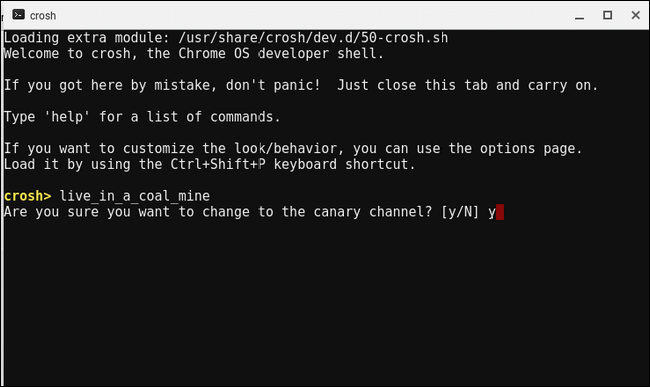 Подтверждение переключения на Canary в CROSH