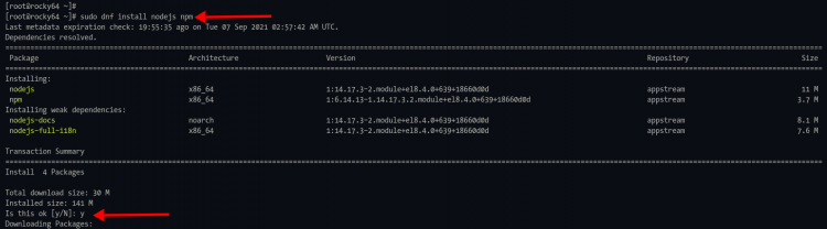 Установка Node.js и npm