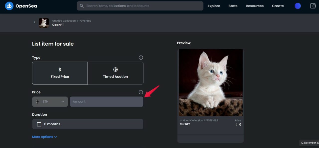 Ввод цены и сроков продажи в интерфейсе