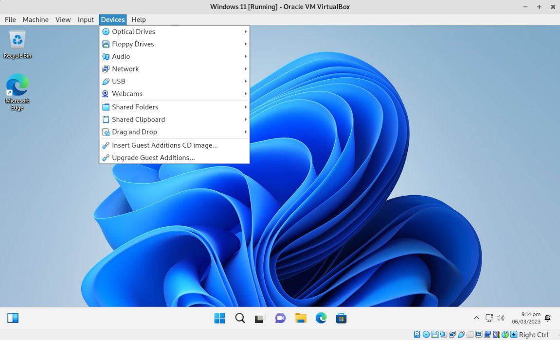 Содержимое меню Devices, пункт Shared Folders.