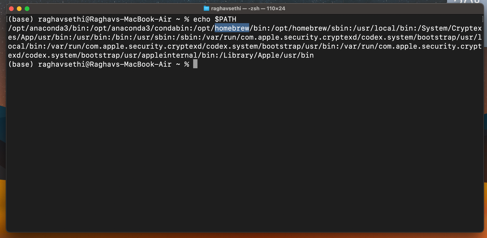 Окно Terminal macOS с выводом переменной PATH (echo $PATH)