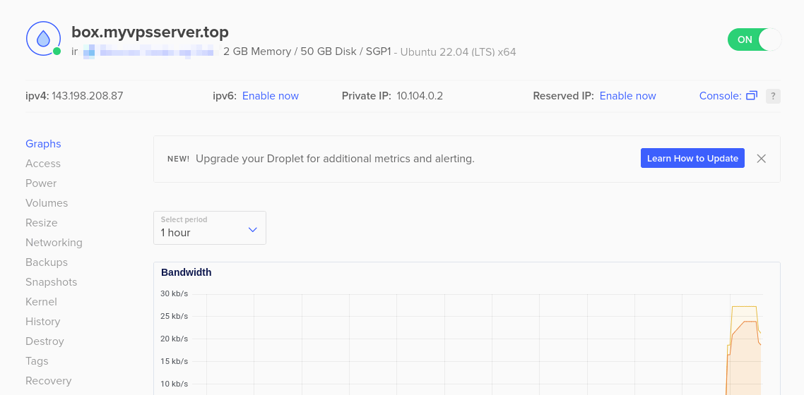 Скриншот панели сервиса DigitalOcean с информацией о виртуальной машине.