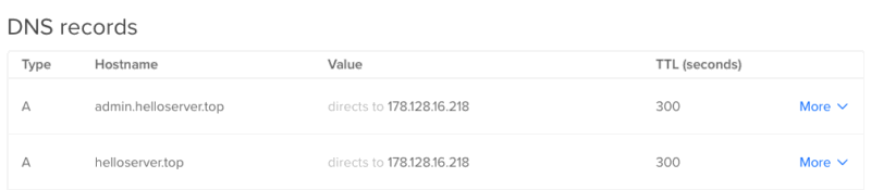 Скриншот настроек двух DNS записей для демонстрации.