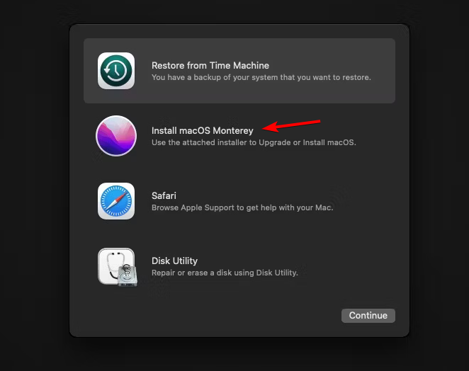 Выбор установки macOS Monterey