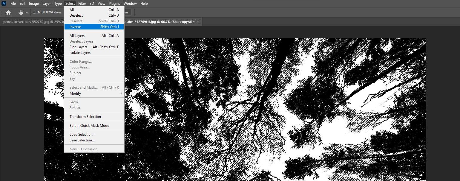 Инвертирование выделения